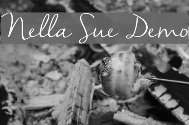 Nella Sue Demo Font examples