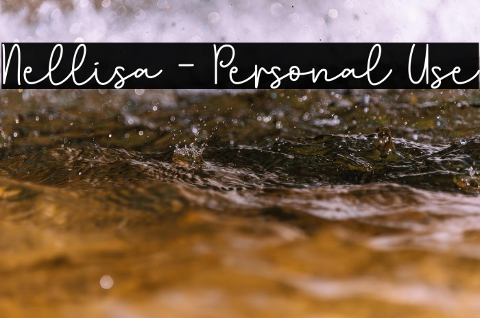 Nellisa - Personal Use Example 3
