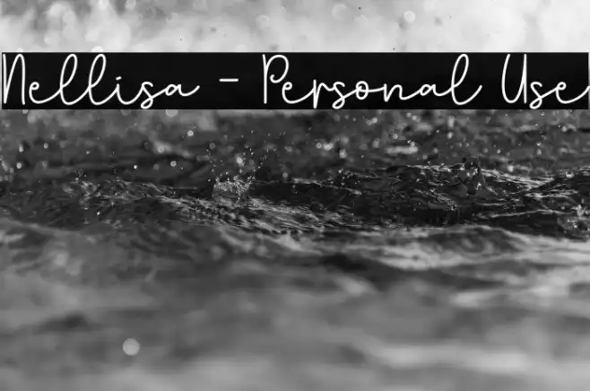 Nellisa - Personal Use Example 3