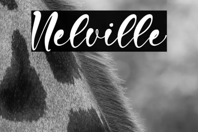 Nelville Example 1