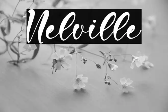 Nelville Example 2