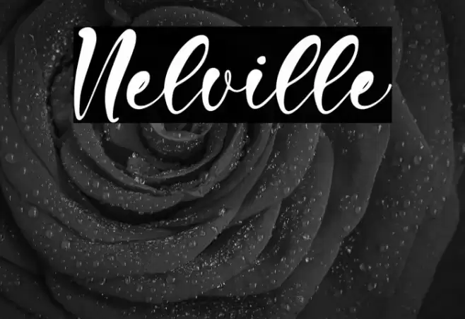 Nelville Font examples