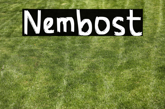 "Nembost" Example 3