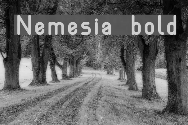 Nemesia bold Font examples