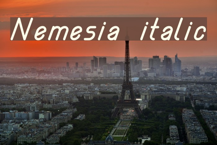 Nemesia italic Font examples
