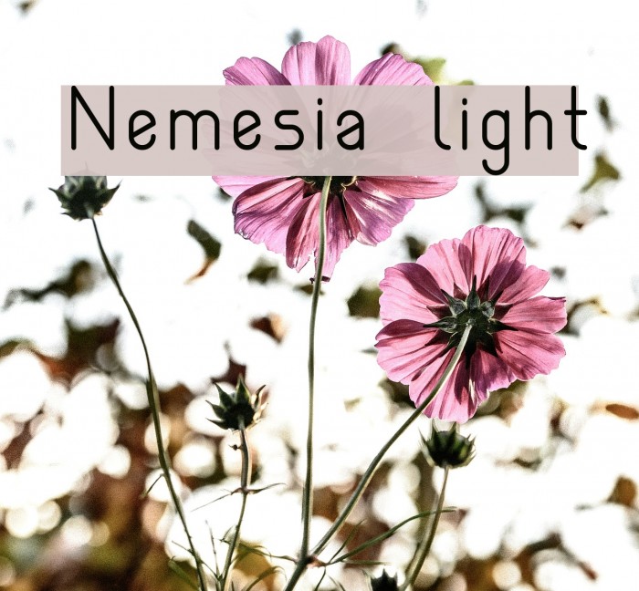 Nemesia light Example 3