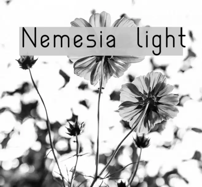 Nemesia light Font examples