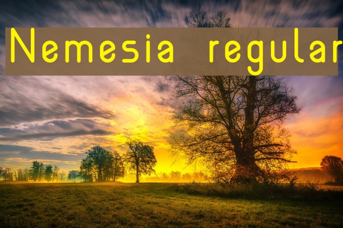 Nemesia regular Example 2