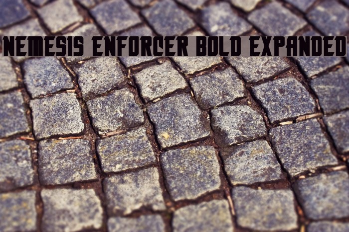 Nemesis Enforcer Bold Expanded Example 1