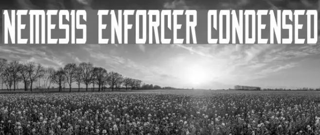Nemesis Enforcer Condensed Example 1