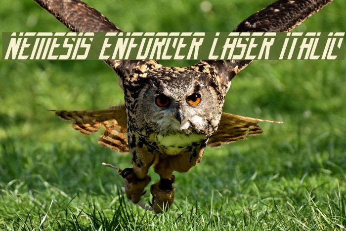 Nemesis Enforcer Laser Italic Example 3
