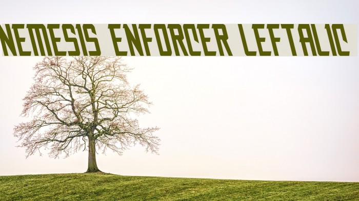 Nemesis Enforcer Leftalic Font examples