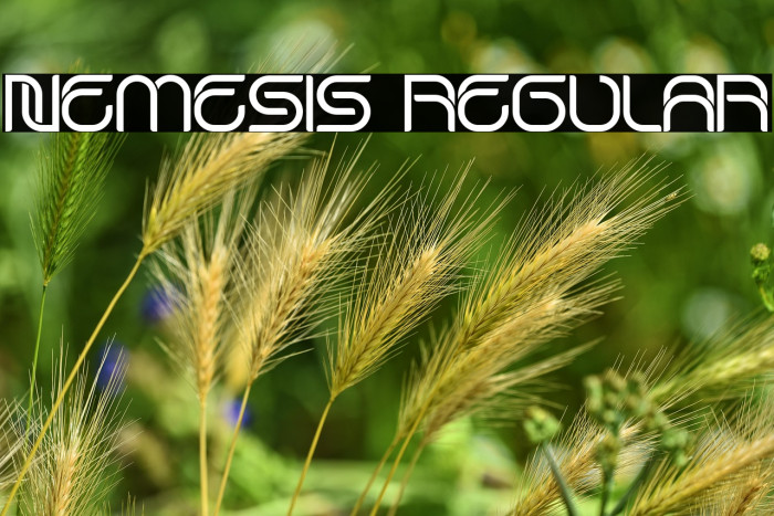 Nemesis Regular Example 3