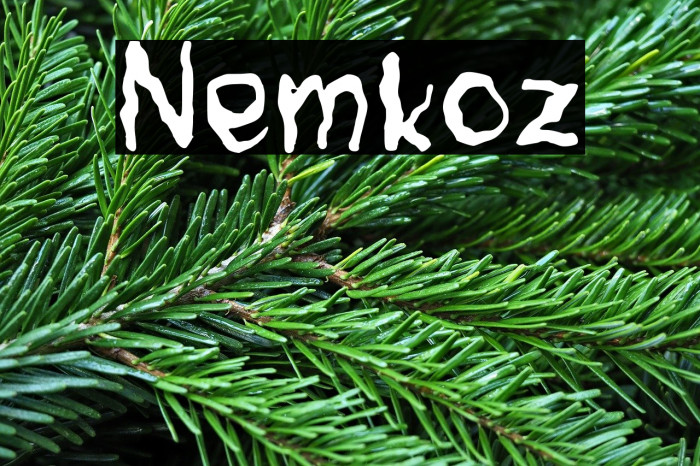 Nemkoz Example 1