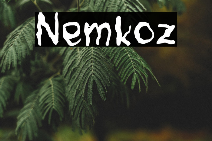 Nemkoz Example 2