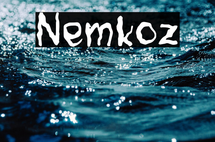 Nemkoz Example 3