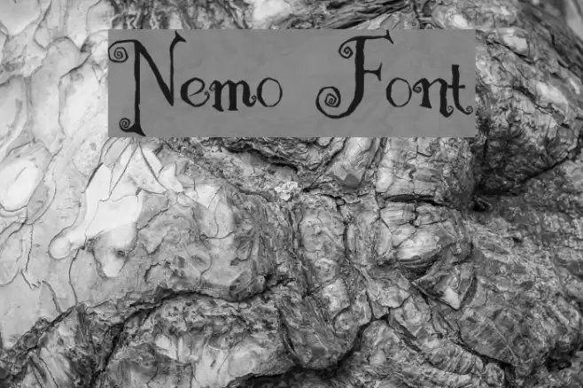 Nemo Fuentes examples