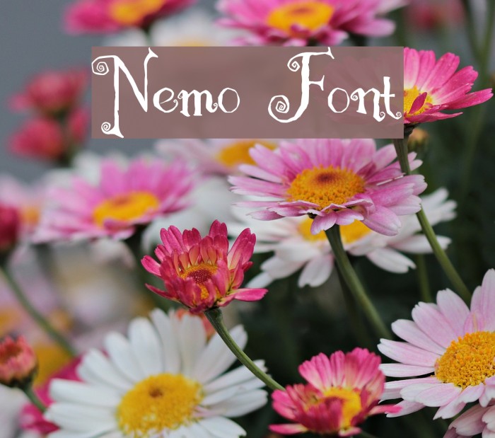 Nemo Font examples
