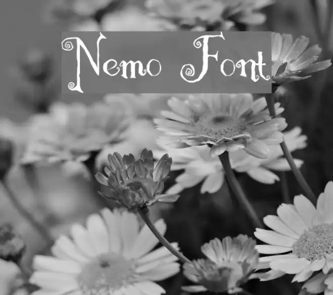 Nemo Fuentes examples