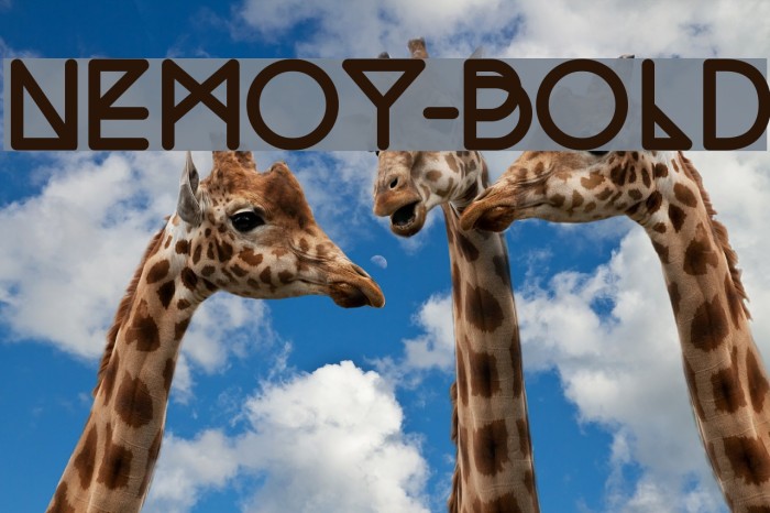 Nemoy-Bold Font examples
