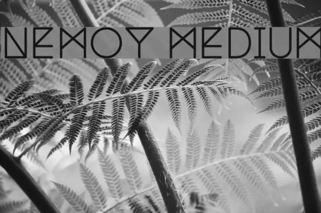 Nemoy Medium Example 2