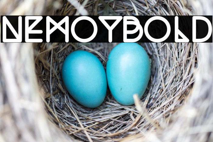 NemoyBold Example 1