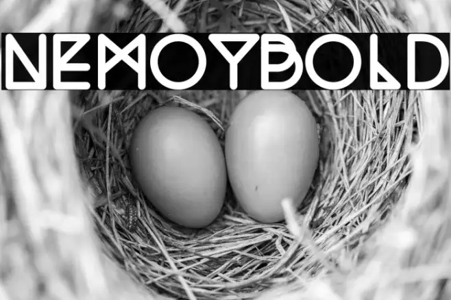 NemoyBold Example 1