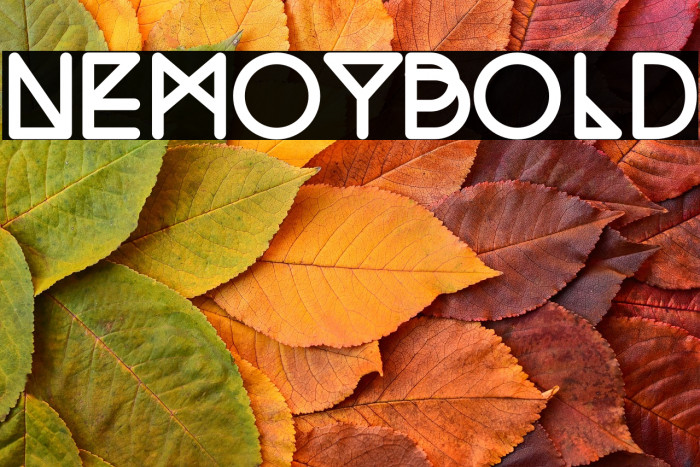 NemoyBold Example 2