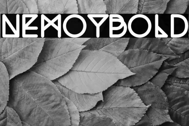 NemoyBold Example 2