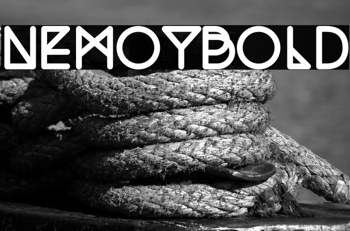 NemoyBold Example 3