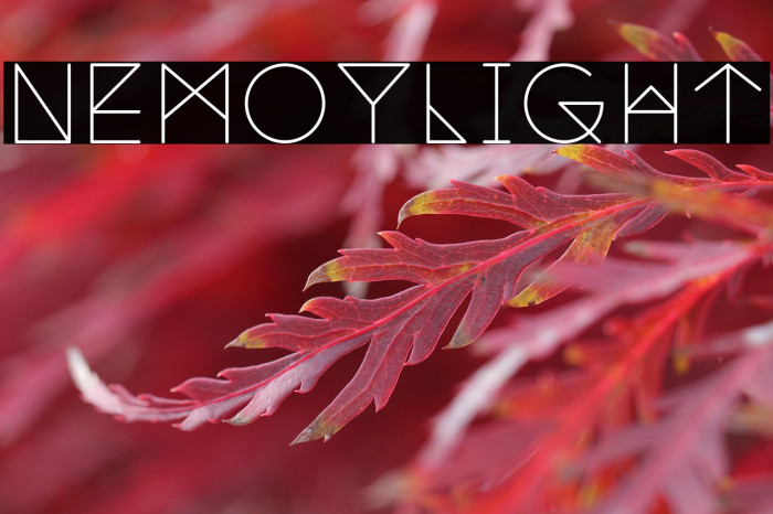 NemoyLight Example 3