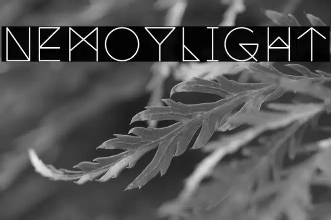 NemoyLight Font examples
