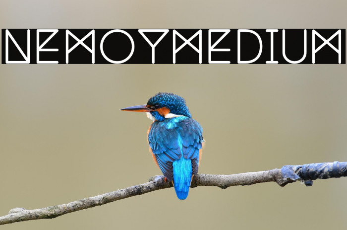 NemoyMedium Example 1