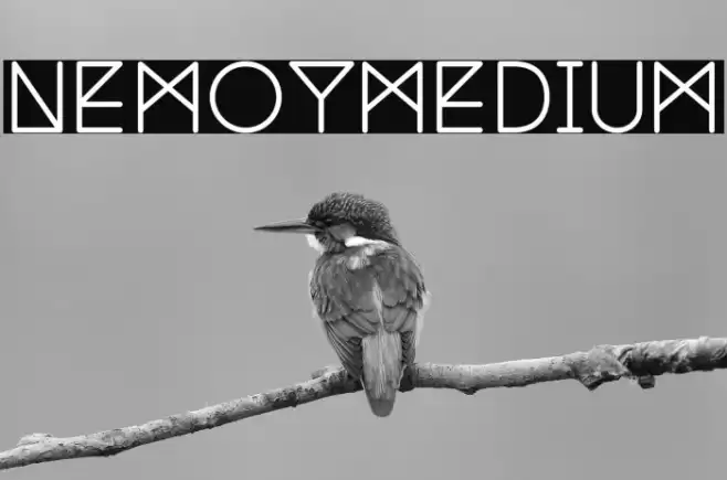 NemoyMedium Font examples