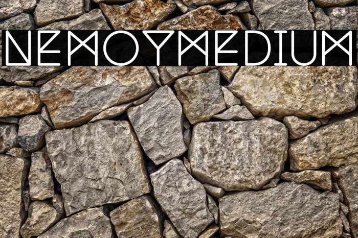 NemoyMedium Example 2