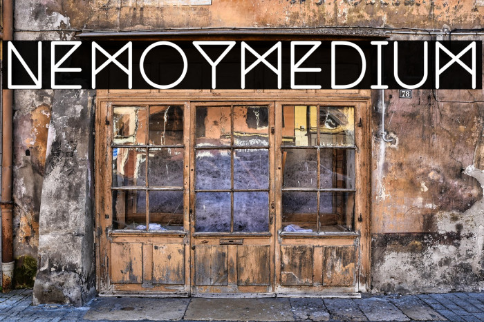 NemoyMedium Example 3