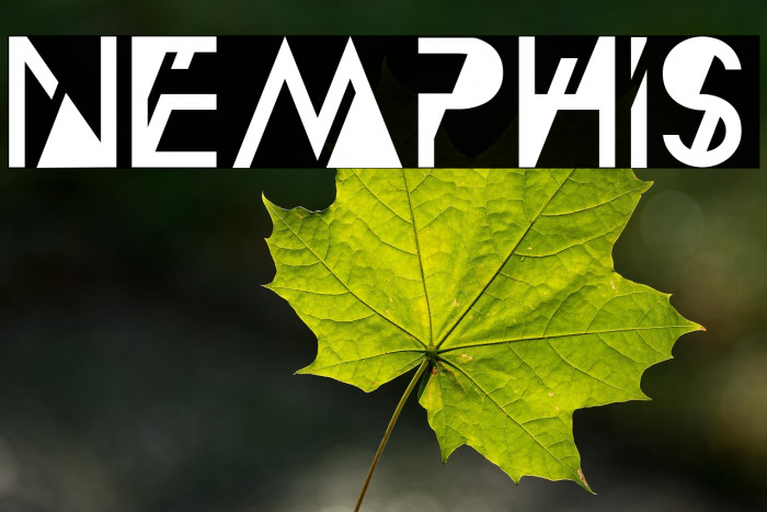 Nemphis Example 1