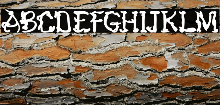 Nemukhin Obralho Example 3