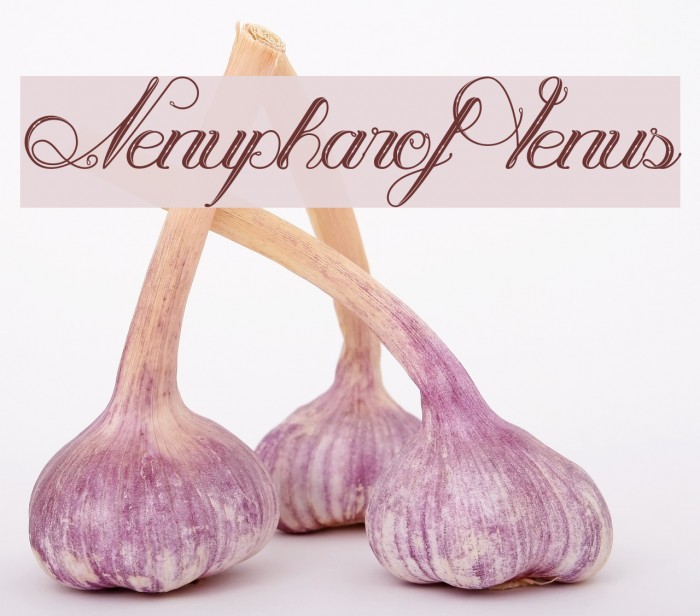 NenupharofVenus Font examples