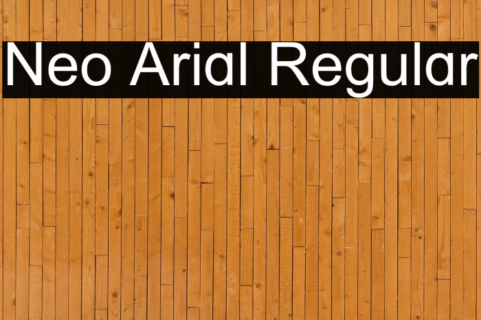 Neo Arial Regular Example 1