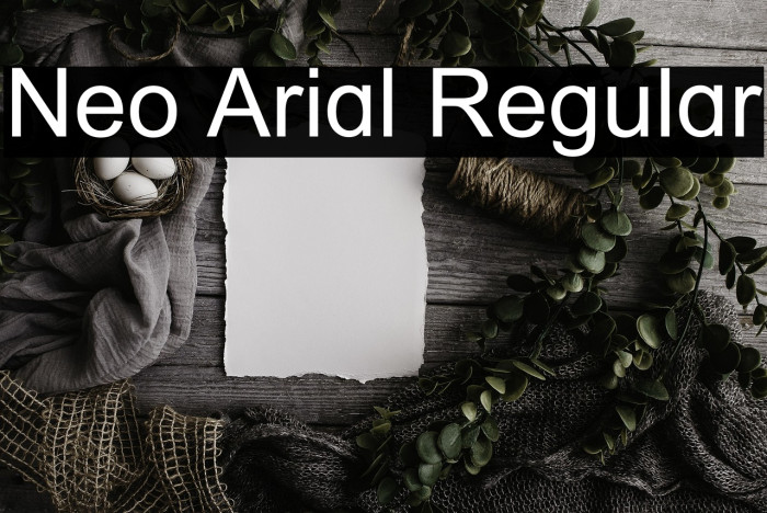 Neo Arial Regular Example 3