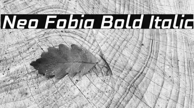 Neo Fobia Bold Italic Font examples