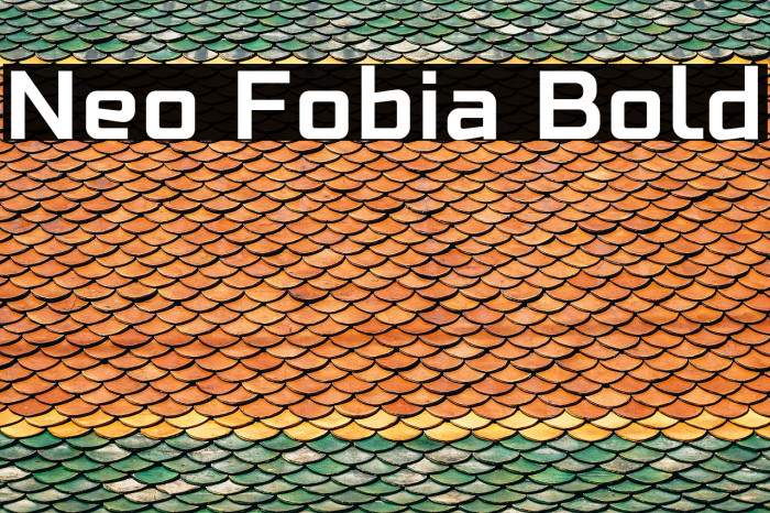 Neo Fobia Bold Font examples