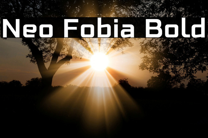 Neo Fobia Bold Font examples