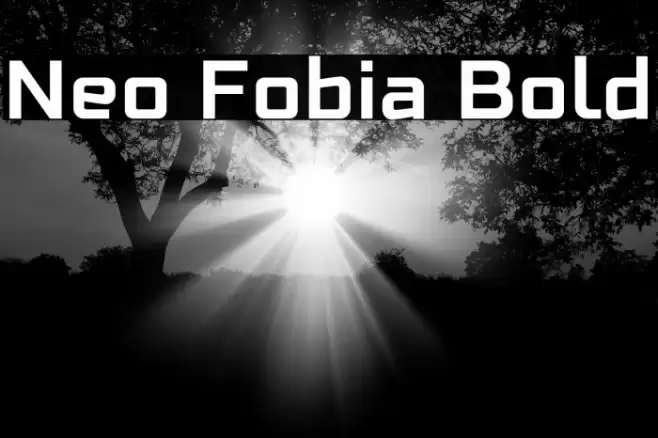 Neo Fobia Bold Fonte examples