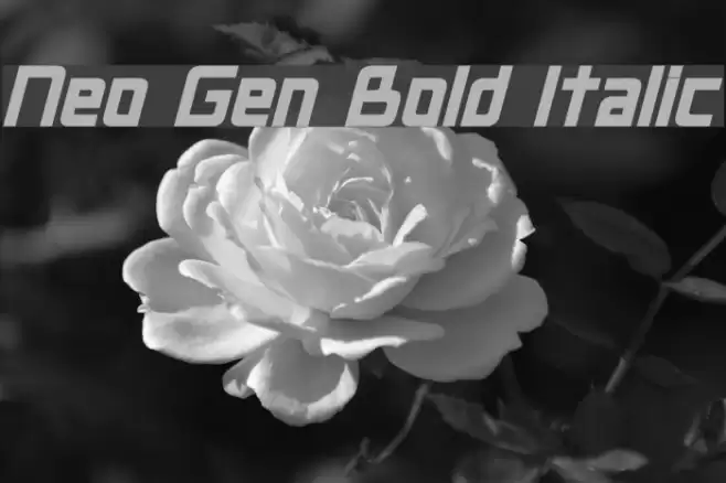 Neo Gen Bold Italic Font examples