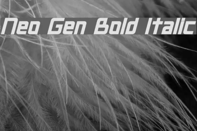 Neo Gen Bold Italic Font examples
