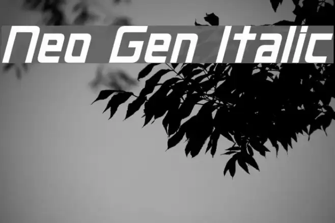 Neo Gen Italic Font examples