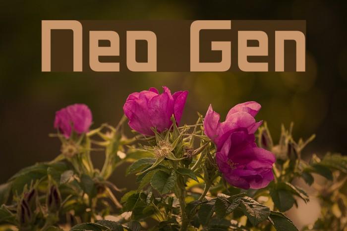 Neo Gen Font examples