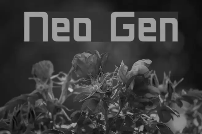 Neo Gen Example 2